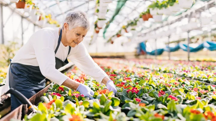 Planning to work in retirement? Don’t count on it.