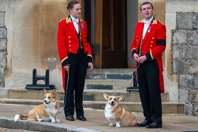 Where are Queen Elizabeth’s corgis? We went looking