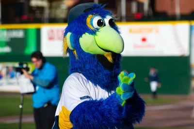Minor league team forfeits game after players refuse to wear Pride jerseys