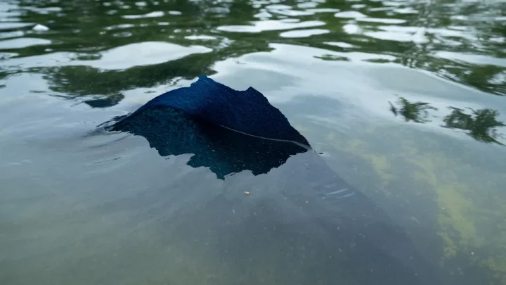 Lincoln Memorial Reflecting Pool paint peeling off: See images