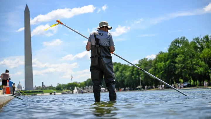 Green water, peeling paint. What’s going on with the Reflecting Pool?