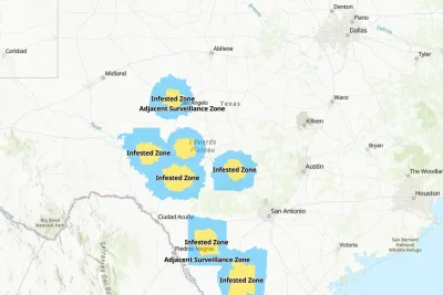 New World Screwworm continues to spread in Texas as US hits 15 cases