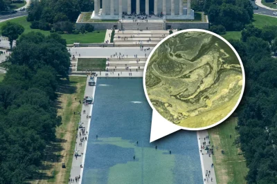 The science behind the algae bloom in Trump’s Reflecting Pool revamp