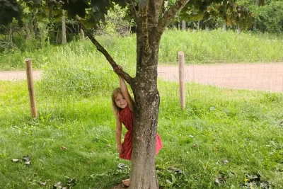 Family says 6-year-old bitten by rabid bat outside Wisconsin home