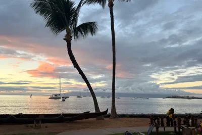 Hawaii had 2 historic disasters. Why tourists now play a pivotal role