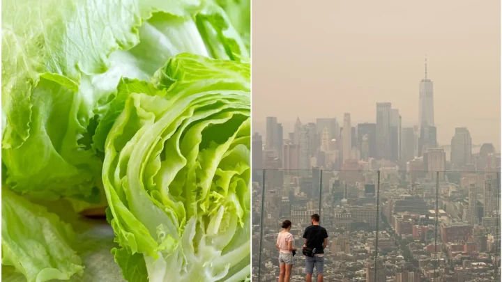Diarrhea parasite and poor air quality have the internet letting loose