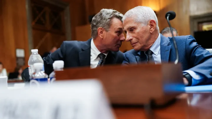 Fauci’s Senate fiasco isn’t over as contempt push prompts legal questions