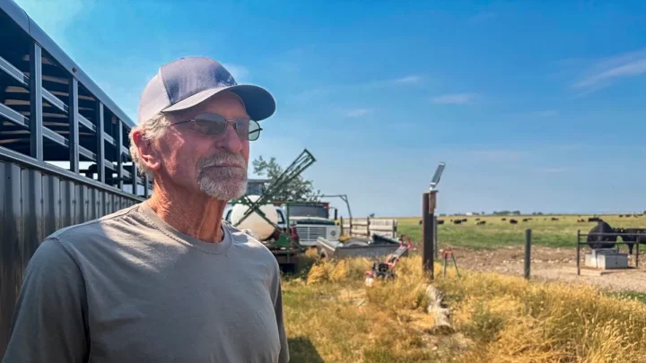 In this red state, cattle ranchers are fuming. They blame Trump.